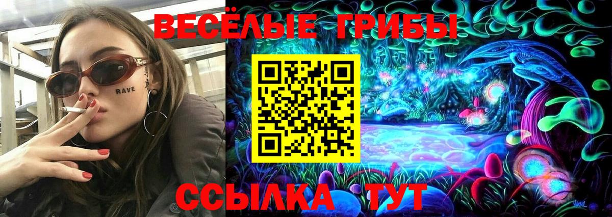 Миасс  Галлюциногенные грибы прущие грибы  Псилоцибиновые грибы MAGIC MUSHROOMS  Вход с VPN 