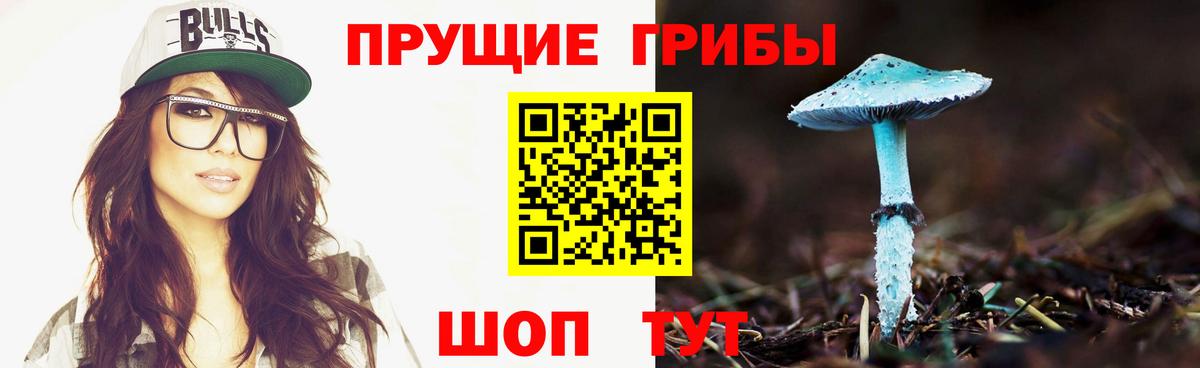 Псилоцибиновые грибы Psilocybine cubensis Миасс
